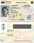 Arizona Driver License vector quality.jpg