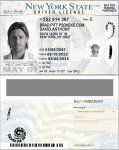 New York Driver License new vector quality.jpg