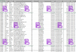 forexlush_germany.PNG