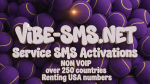 _______non_voip_over_250_coutriesrenting_usa_numbe_delpmaspu (1) (1).png