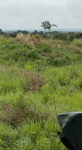 tghotel.gif