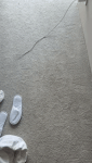 tghotel0405.gif