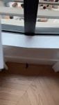tghotel2606.gif