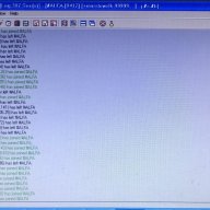 hackeo3404