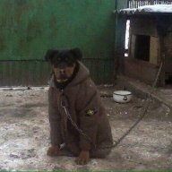 durov