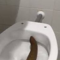 guruxd