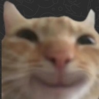 BagadBillu