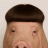 telnet.sh