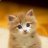 testggtest